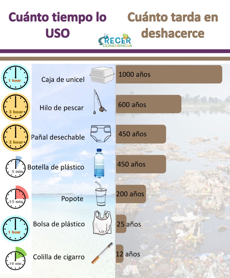 Infographics – Crecer ConCiencia